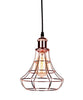 Vintage Metal Cage Industrial Wire Frame Pendant Light Loft Ceiling Lamp Shade