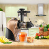 Slow Masticating Juicer Extractor Cold Press Juicer Machines Quiet Motor 2 Speed