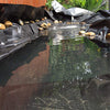 5FT X 10FT Fish Pond Liners Strong Garden Pool HDPE Landscaping Reinforced Liner