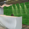 Artificial Plant Greenery Wall Hedge Grass Leaf Mat Fence Foliage Panel 60x40cm