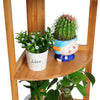 4 Tier Bamboo Corner Stand Shelf Flower Home Garden Plant Display Storge Racks