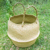 Foldable Seagrass Woven Storage Plant Flower Pot Belly Basket Laundry Hamper SA