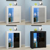 Modern Cabinet Cupboard sideboard - Matt Body and High Gloss Doors RGB LED Light