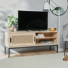 Lena Rattan TV Unit For Lounge Table Display Television Sliding Door Sideboard