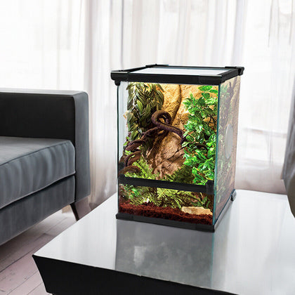 Small Reptiles Insect Terrarium Spider Mantises Feeding Box Tank Glass Vivarium