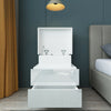 High Gloss Bedside Table Nightstand Cabinet Chest of 2 Drawer RGB LED Light Lamp