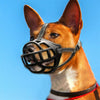 Dog Puppy Mighty Muzzle Prevent Biting and Chewing Allows Panting and Drinking