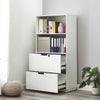 Filing Cabinet Freestanding Display Cabinet Filing Cabinet with 2 Drawer 1 Shelf