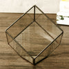 Tabletop Geometric Terrarium Glass Box Pot Plant Planter Succulent Moss Holder