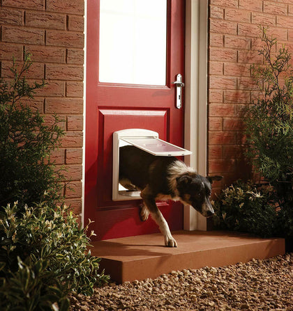 Medium Dog Flap 2 Way Door Gate Entrance Lockable Pet Wall Exit New