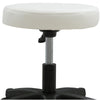 Beauty Salon Swivel Stool Hairdressing Tattoo Barber Chair Gas Lift Round Stool