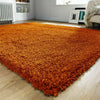 LARGE SHAGGY RUG THICK SOFT HALLWAY RUNNER NON SLIP CARPET LIVING ROOM DEEP PILE