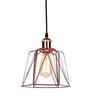 Vintage Metal Cage Industrial Wire Frame Pendant Light Loft Ceiling Lamp Shade