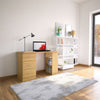 Home Office Desk with Drawers & Storage - Piranha Furniture Guppy