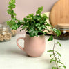Set of 4 Stoneware 480ml Snug Mugs Ice Cream Coffee Pastel Pink Blue Lilac Mint