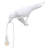 Bird Table Lamps Resin Crow Desk Lamp Bedroom Wall Sconce Light UK NEW