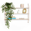 BTFY Shelving Wall Mounted Pink Metal 3 Adjustable Shelves Modular Display Unit