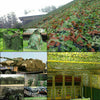2M X 3M Army Camouflage Net Camo Netting Camping Shooting Hunting Hide Woodland