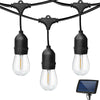 49FT Outdoor Garden LED Festoon Fairy String Lights 15 Bulbs USB & Solar Powered