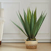 Artificial Tequila Succulent Plant 85cm Height in Pot Home Office NEW Decorative