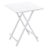 Folding Table Chair Patio In/Outdoor Furniture Wood Coffee Drink Desk Metal Legs