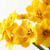 Living Room Wreath Wedding Artificial Plant Narcissus Daffodil Fake Flowers