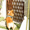 Expanding Portable Wooden Dog Fence Screen Puppy Pet Freestanding Trellis Gate