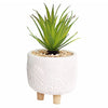 Artificial Succulent Plant With Pot | Faux Plant and Planter | Home Decor