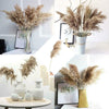 10x Natural Dried Pampas Grass Reed Flower Bunch Wedding Bouquet Home Decor