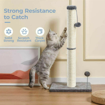 Cat Scratching Post Claw Scratcher with Sisal Rope and Teaser Ball for Pet UK