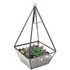 Tabletop Geometric Terrarium Glass Box Pot Plant Planter Succulent Moss Holder