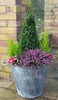 Round 41cm Covent Garden Mulberry Tree Galvanised Zinc Metal Plant Planter Pot