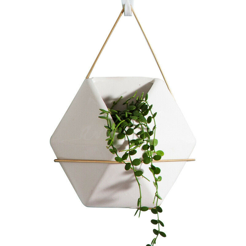 Flower Plant Pot Indoor Outdoor Garden Wall Fence Hanging Planter Box Pot Basket