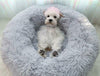 Pet Dog Cat Calming Bed Comfy Shag Warm Fluffy Cushion Mattress Fur Round Nest