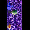90cm Colour Changing LED Sensory Aquarium Bubble Fish Water Tube Floor Lamp