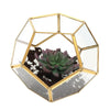 Tabletop Geometric Terrarium Glass Box Pot Plant Planter Succulent Moss Holder
