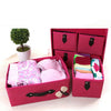 5 Drawers Foldable Storage Boxes with Slid Handle Collapsible Clothes Organiser
