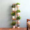 DIY Bamboo Plant Stand 5/6 Tier Flower Pot Holder Display Shelving Unit Corner