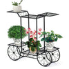 6 Tiers Garden Cart Stand & Flower Pot Plant Holder Display Rack Parisian Style