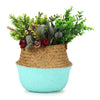 Seagrass Belly Basket Woven Plant Pot Holder Home Living Decor Folwer Storage