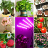 4 Head 80LED Grow Lights Growing Veg Flower For Indoor Clip Plant Lamp + Adapter