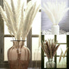 15/50PCS Natural Dried Pampas Grass Reed Rabbit Tail Grass Flower Bunch Decor UK