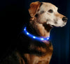 Light up LED All Size Dog Collar Adjustable USB Rechargeable Pet Safety Luminous