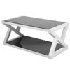 Rectangle Black Tempered Glass Coffee Table Modern Living Room with Lower Shelf#