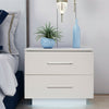 Bedside Table 2 Drawer Chest Nightstand Storage Furniture Bedroom Living Room