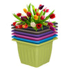 Stackable Plastic Plant Flower Coloured Holder Pot Herb Planter Garden Decor Set