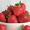 Strawberry 'Marshmello' Fast Growing Bare Root Garden Bush Fruit Plants