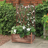 Garden Wooden Planter Box with Trellis Lattice Vegetables Flower Herb Raised Bed