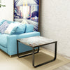 Tempered Glass Coffee Table with Metal Frame Side End Table Modern Living Room