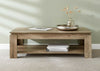 Modern Coffee Table with Storage Shelf Magazine Rack Living Room Furniture